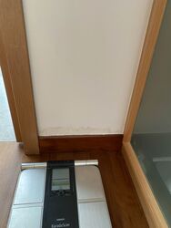Melrose Park (D10), Condominium #582310961